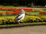 Tierpark-Berlin 2005