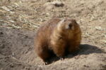 Tierpark-Berlin 2010